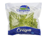 Lechuga Crespa