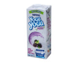 Yogurt Mora